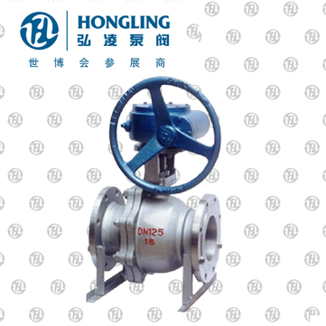 ���ָ���������