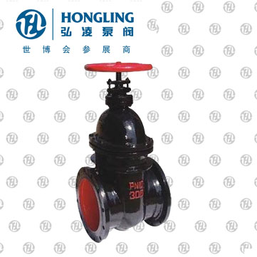 ����Шʽբ��