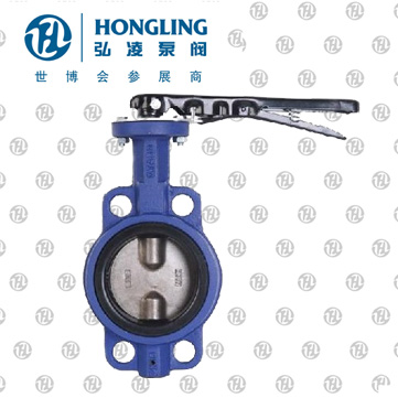 �ֶ��Լ�ʽ����