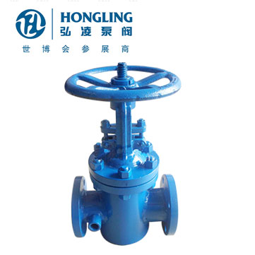 BZ41H���ֱ���բ��