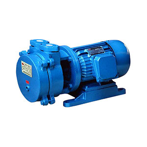 SK-0.15ֱ��ˮ��ʽ��ձ�