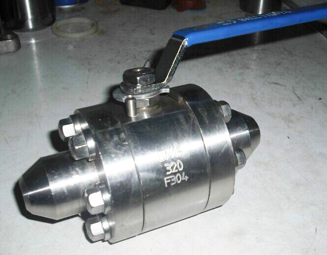 ����ֶ͸���