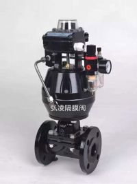 ������Ĥ��