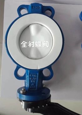 ȫ������