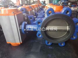 ����͹������