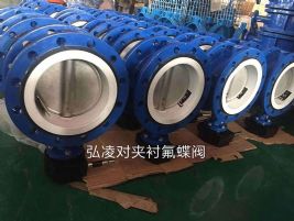 �Լгķ�����