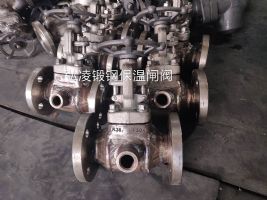 �͸ֱ���բ��