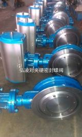 �Լ��ܷ����