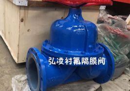 �ķ���Ĥ��