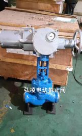 �綯��ֹ��