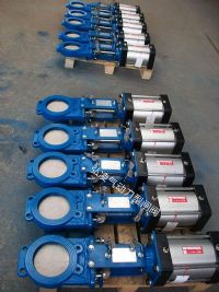 ��������բ��